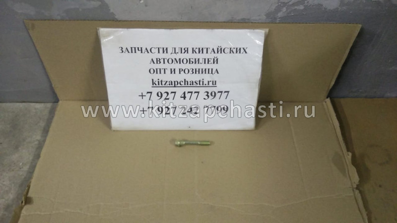 Болт крепления форсунки BAW Fenix 33462 Евро 4 1112033-55D